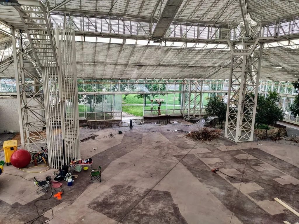 El Invernadero en 2021, antes de rehabilitarlo: suelo manchado, ramas secas y una voluntaria limpiando la estructura con una manguera.